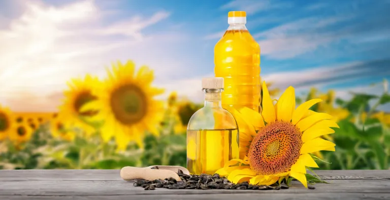 Sunflower Oil